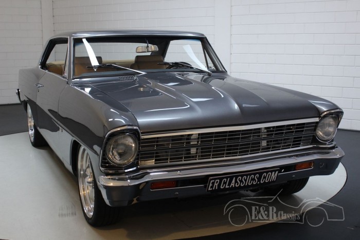 Chevrolet Nova 5 0 V8 1966 Zum Kauf Bei Erclassics