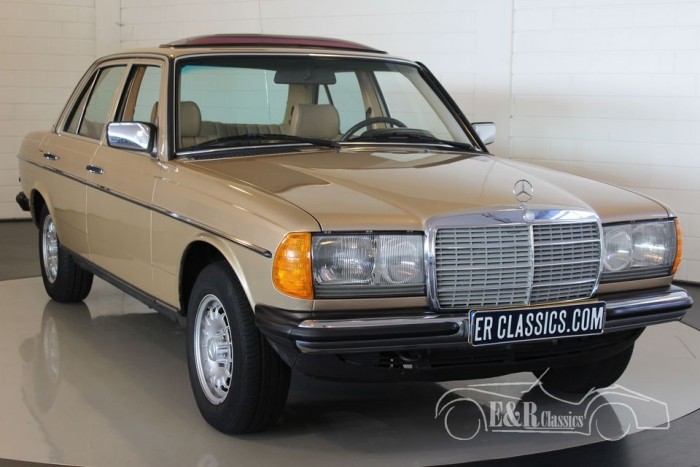 Mercedes Benz 230e 1984 Zum Kauf Bei Erclassics