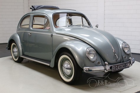 Volkswagen Käfer kaufen